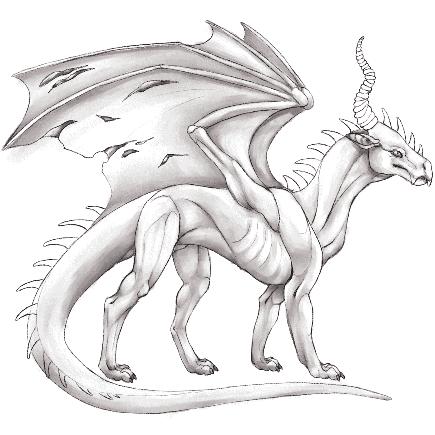 DeathDragon base layer