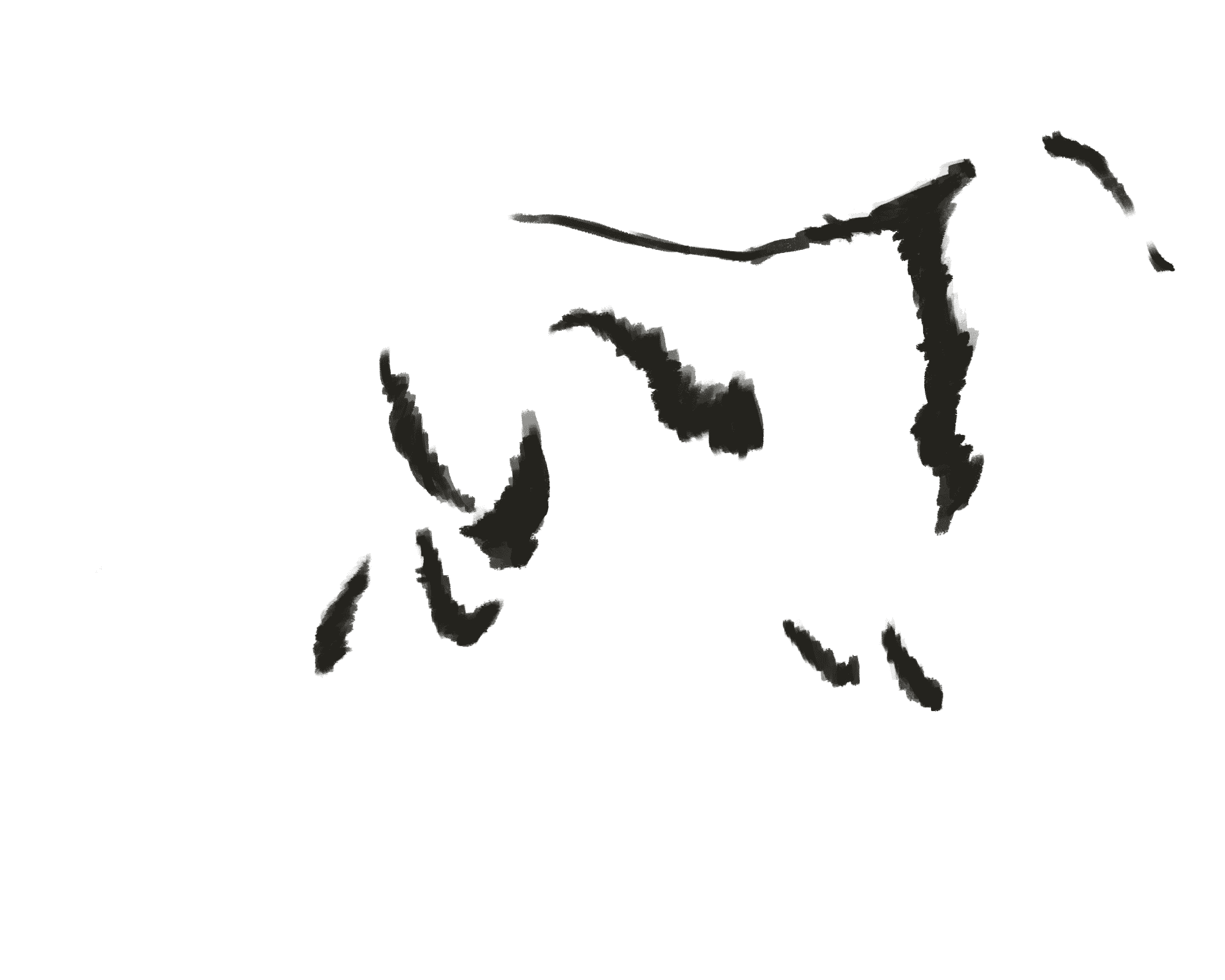 Wolf marks layer