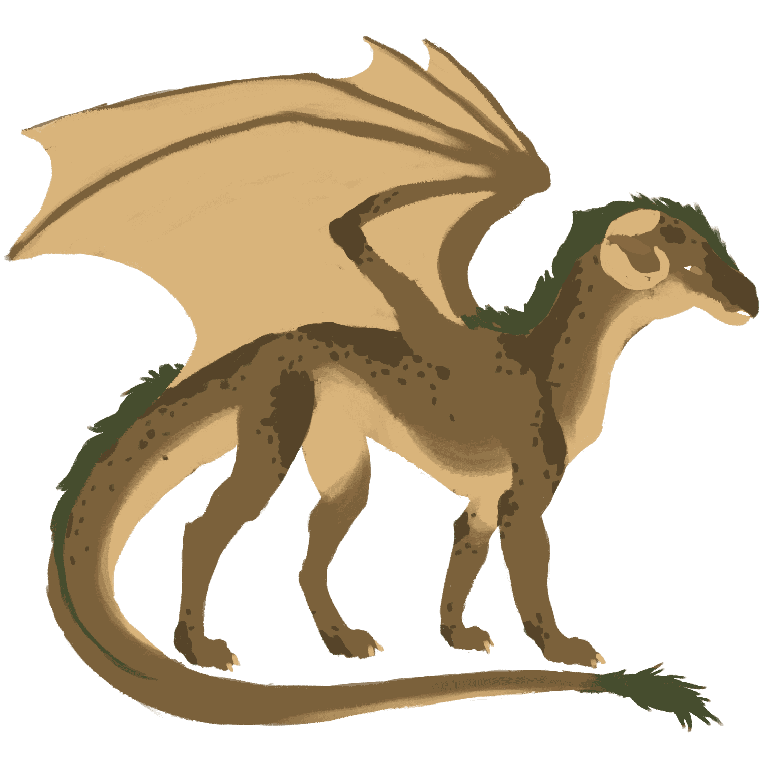 EarthDragon color layer