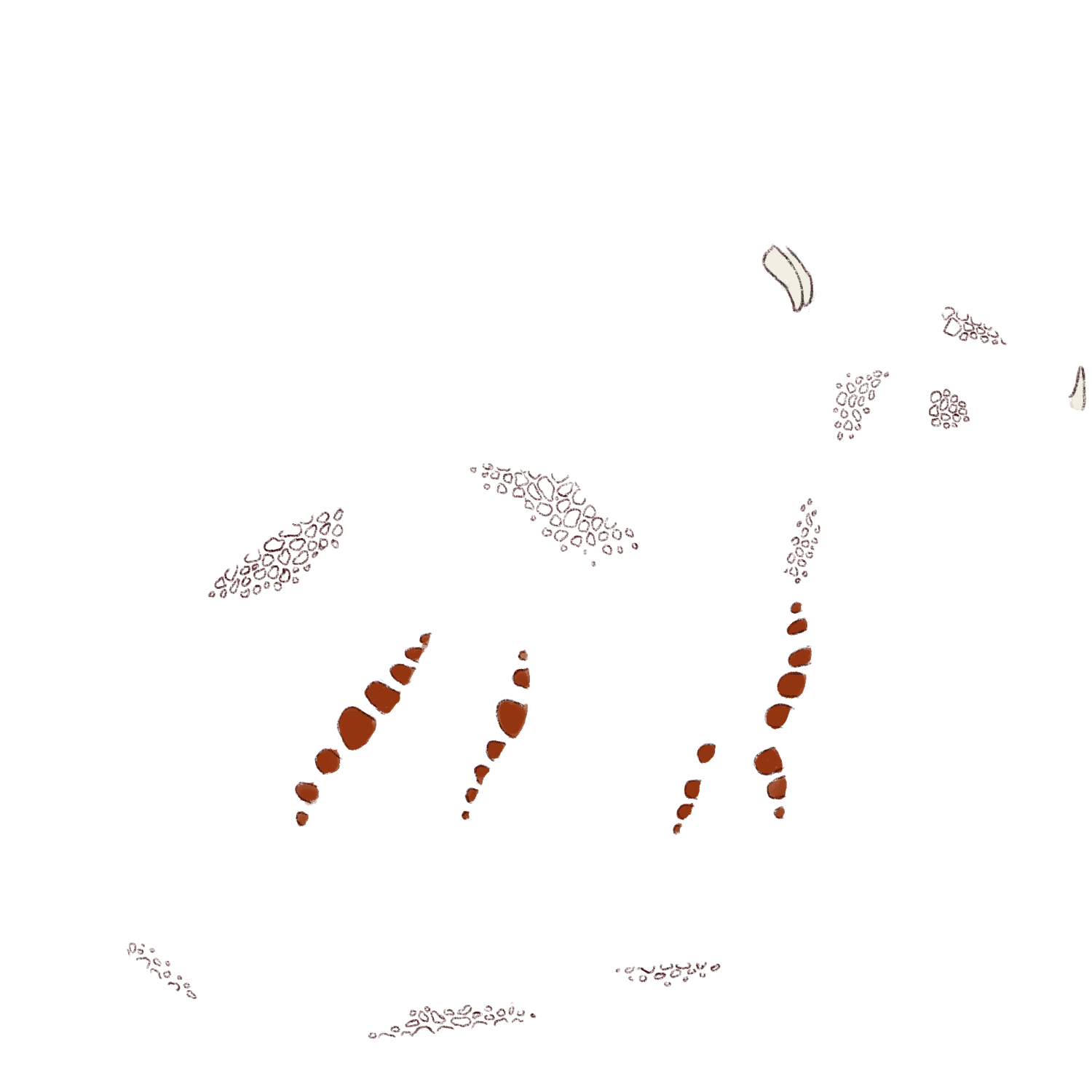 firedragon extras layer