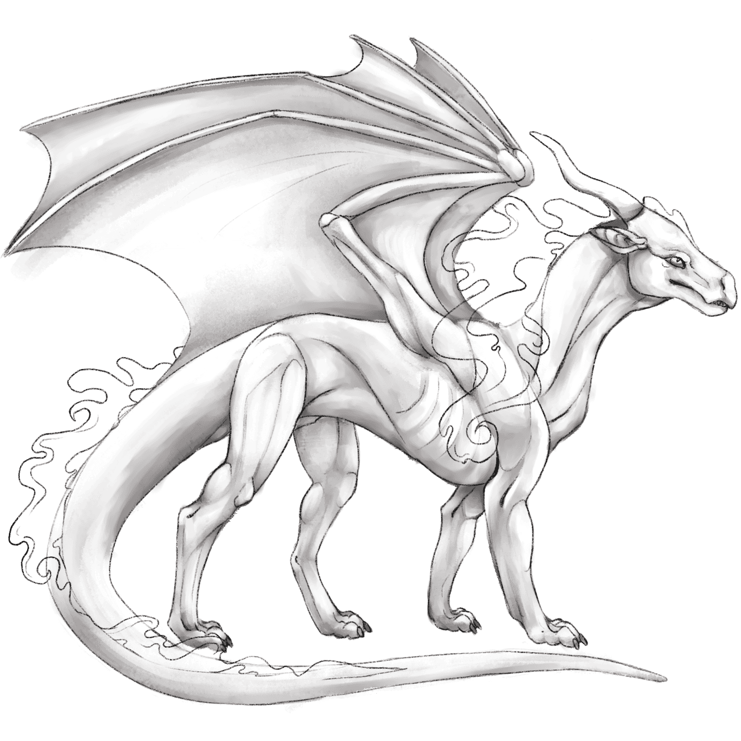 shadowdragon base layer