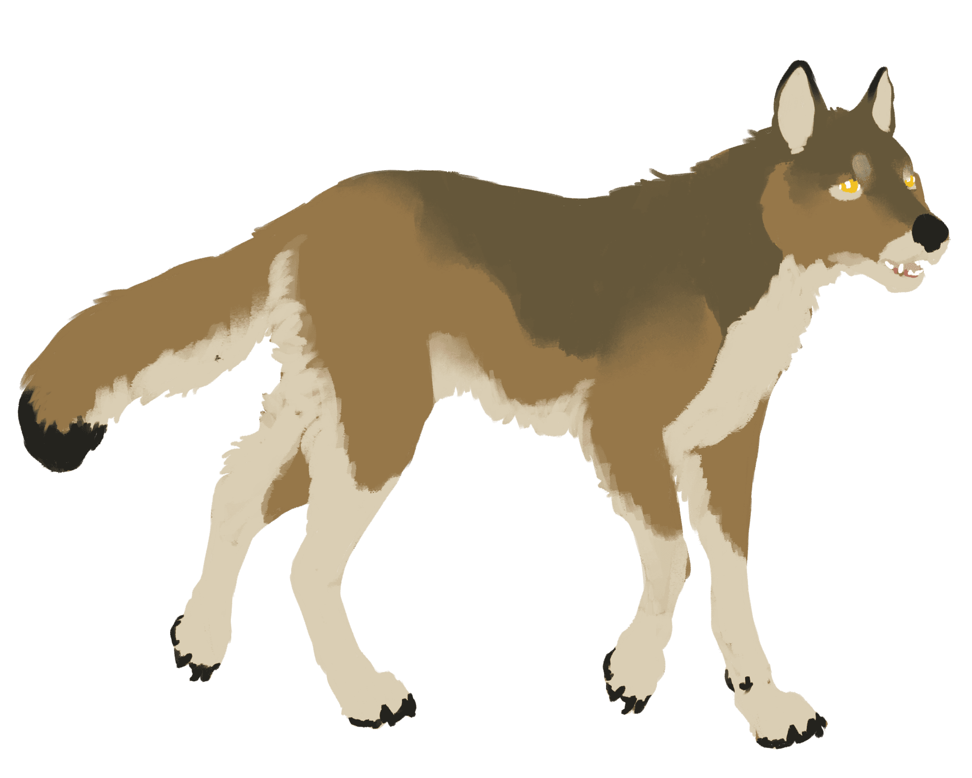 wolf color layer
