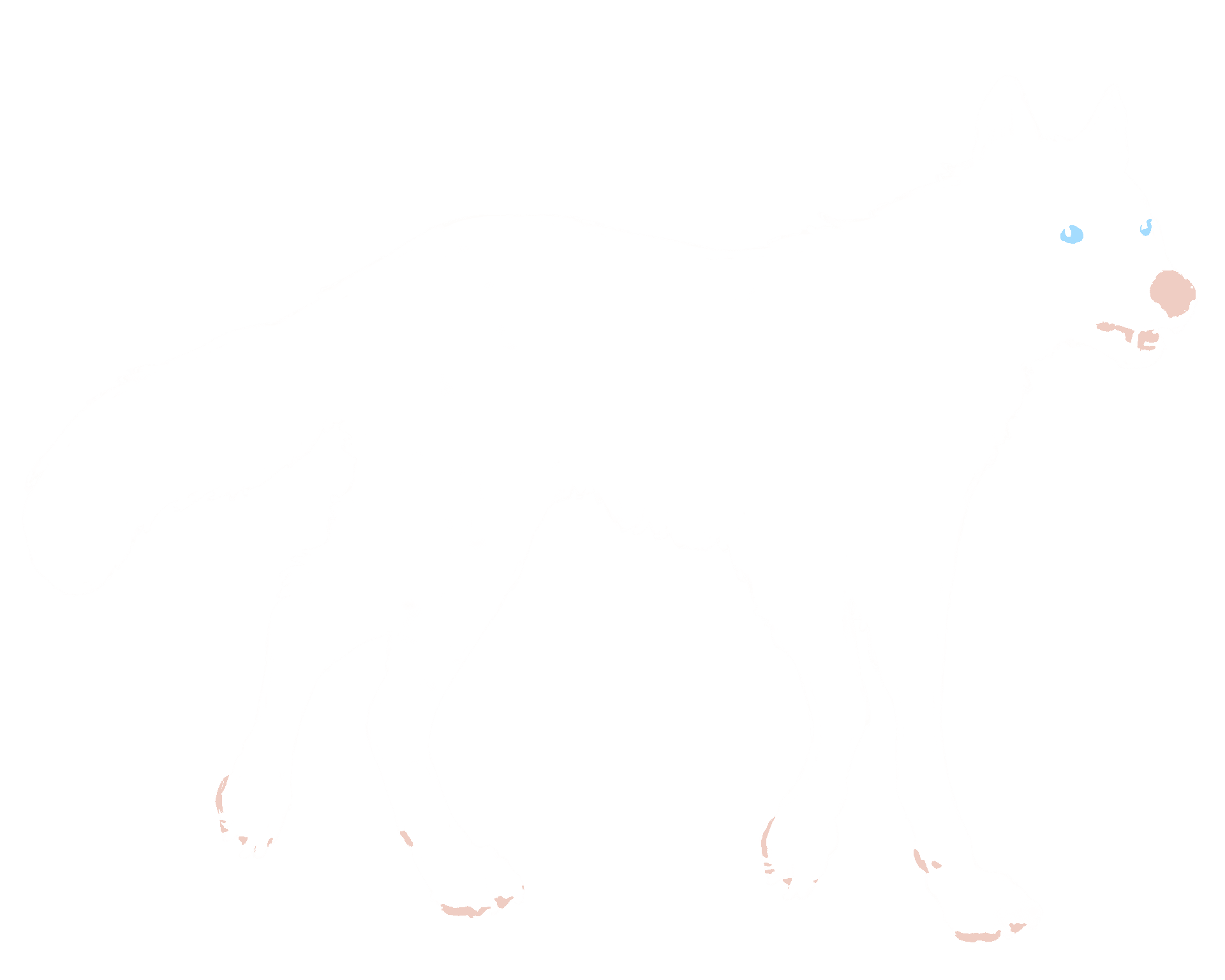 wolf color layer