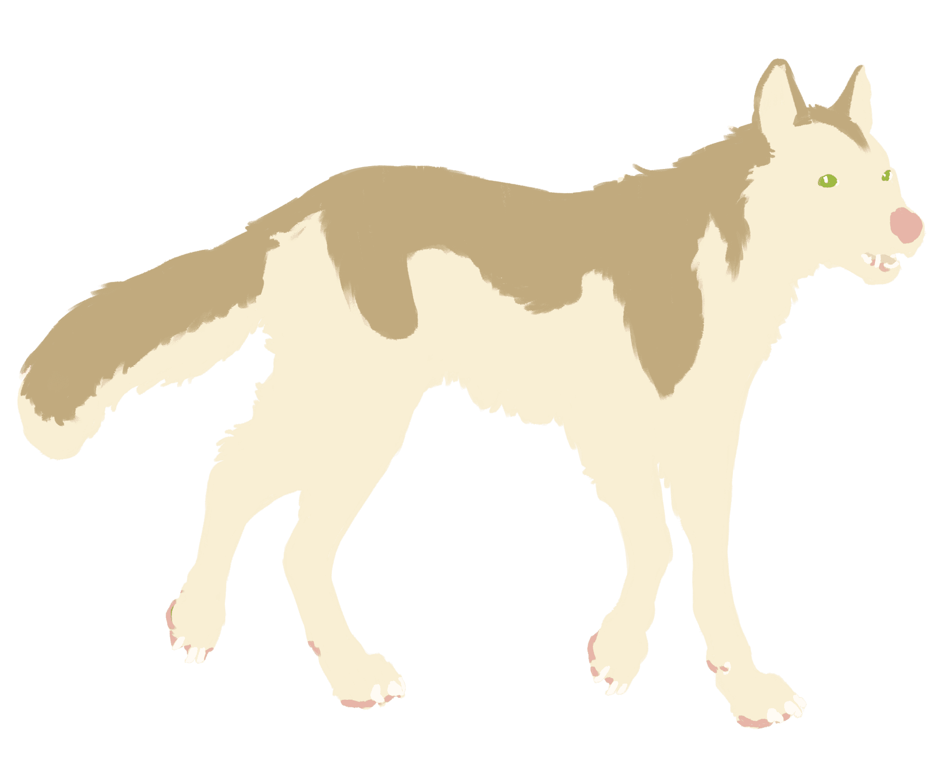 wolf color layer