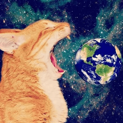 Avatar użytkownika PsiaKrew