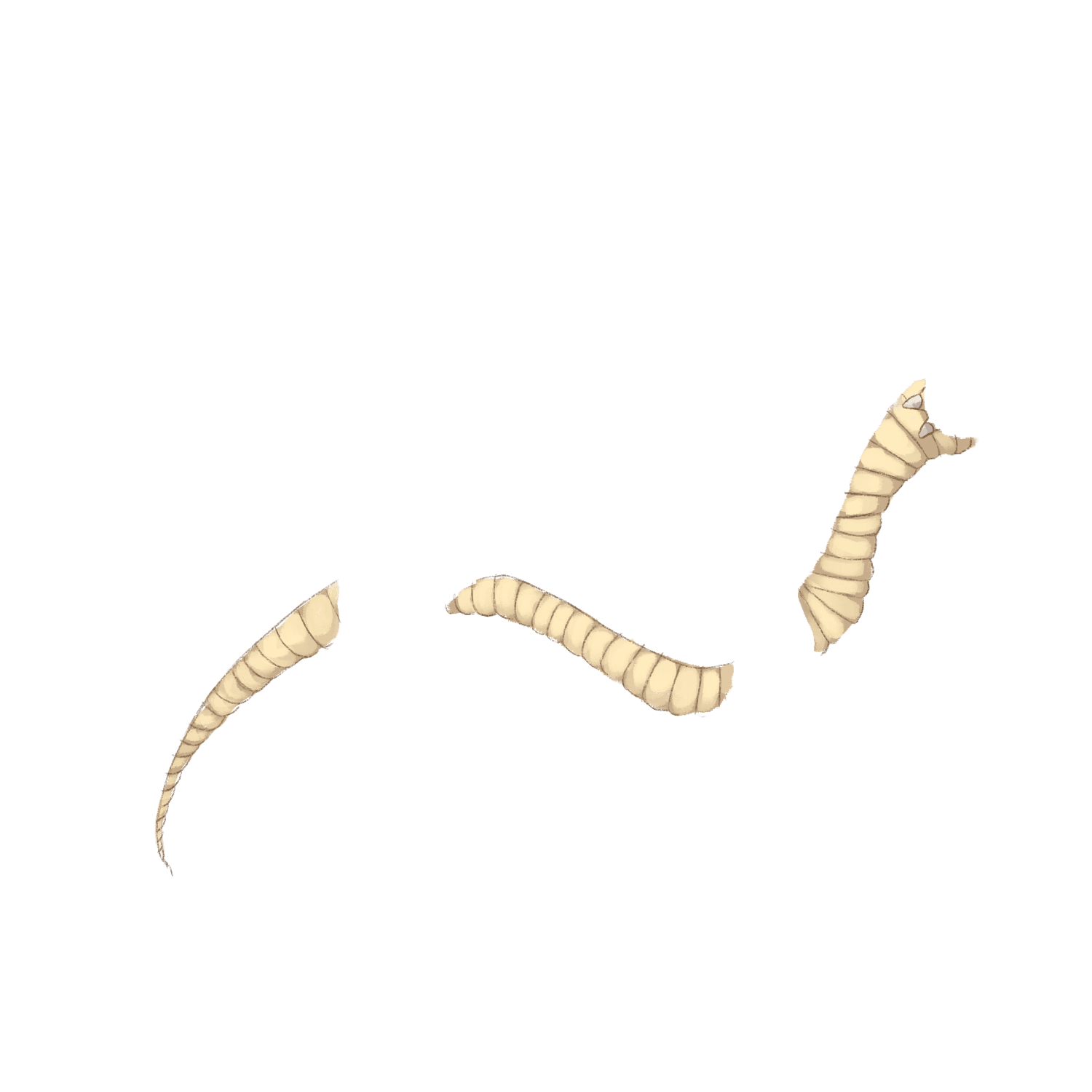 FireDragon extras layer