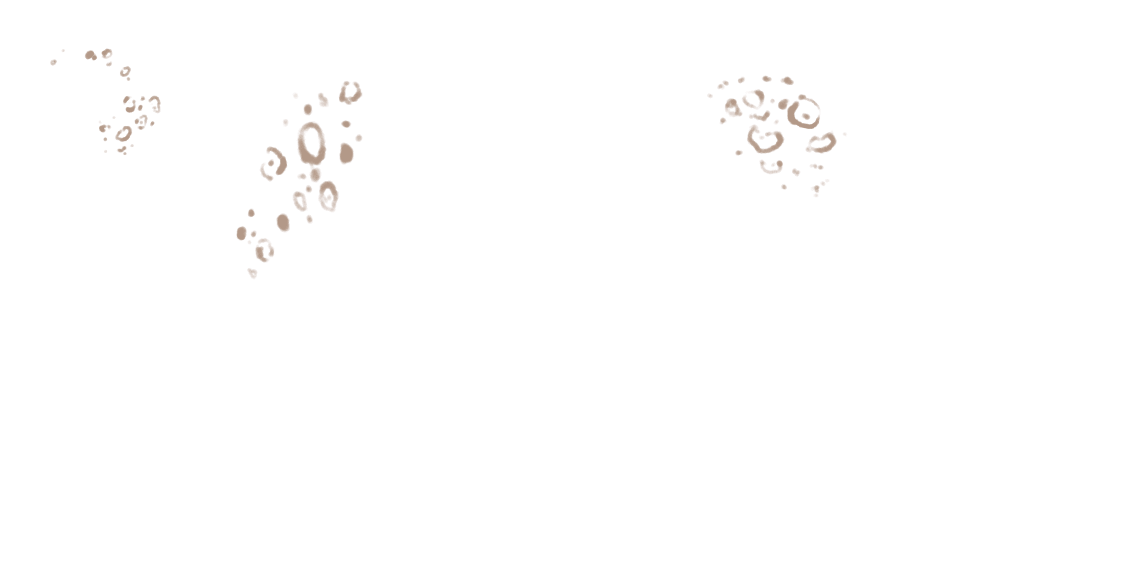 Lioness marks layer