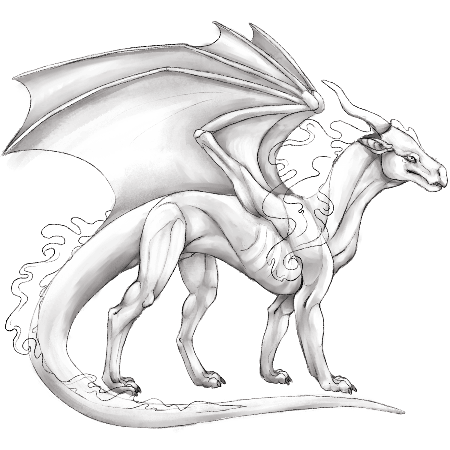 ShadowDragon base layer