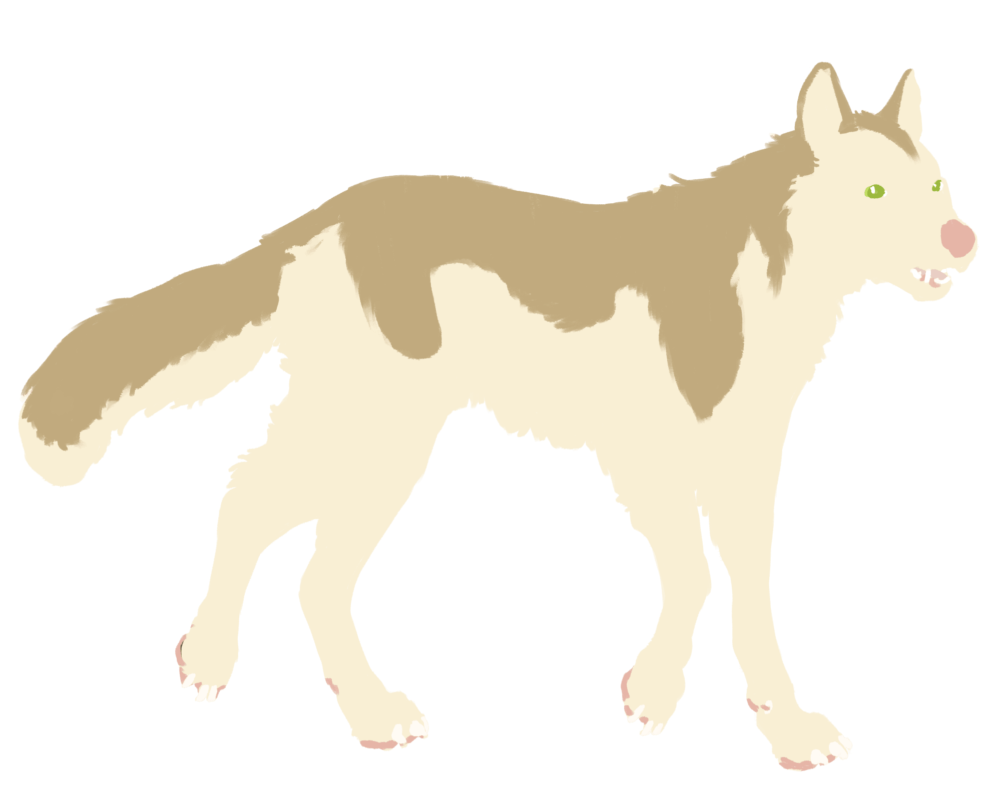 Wolf color layer