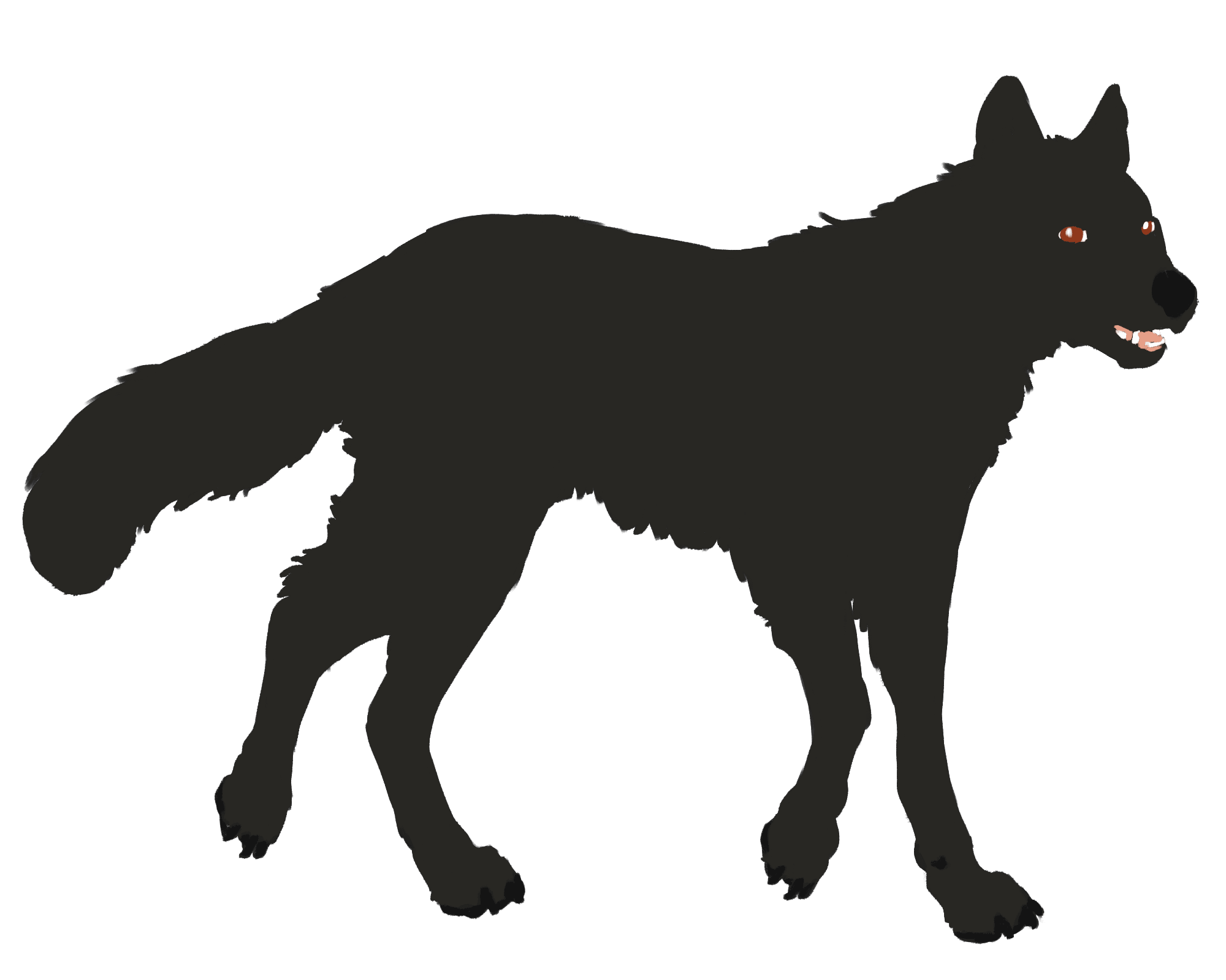 Wolf color layer