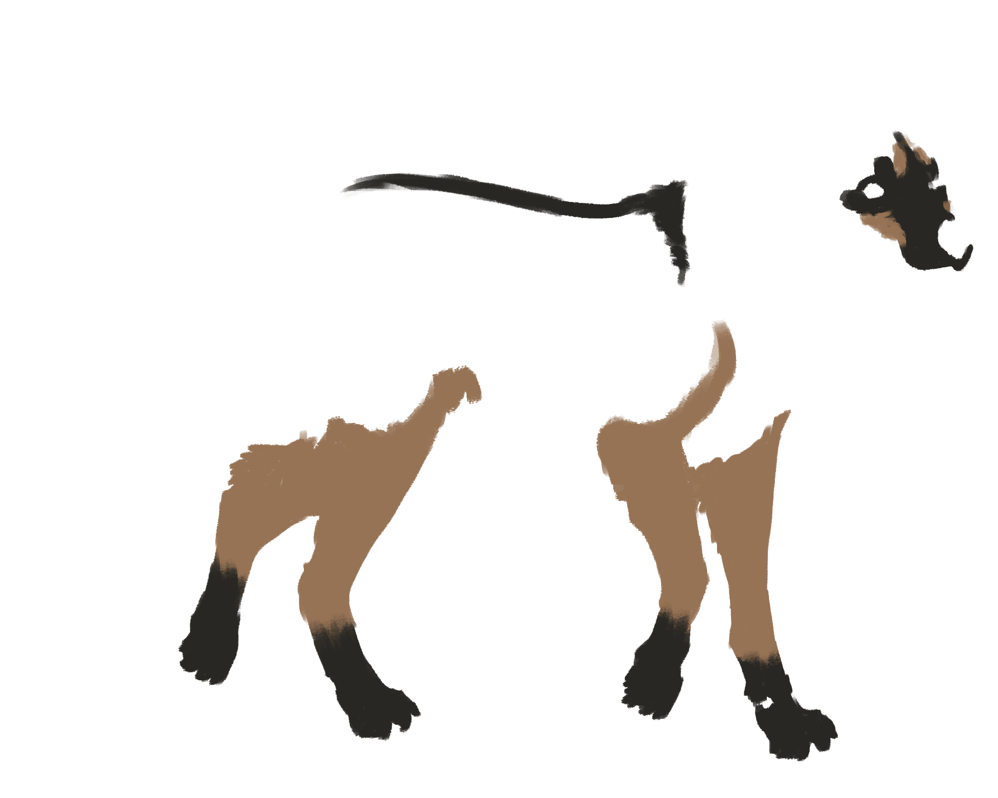 Wolf marks layer
