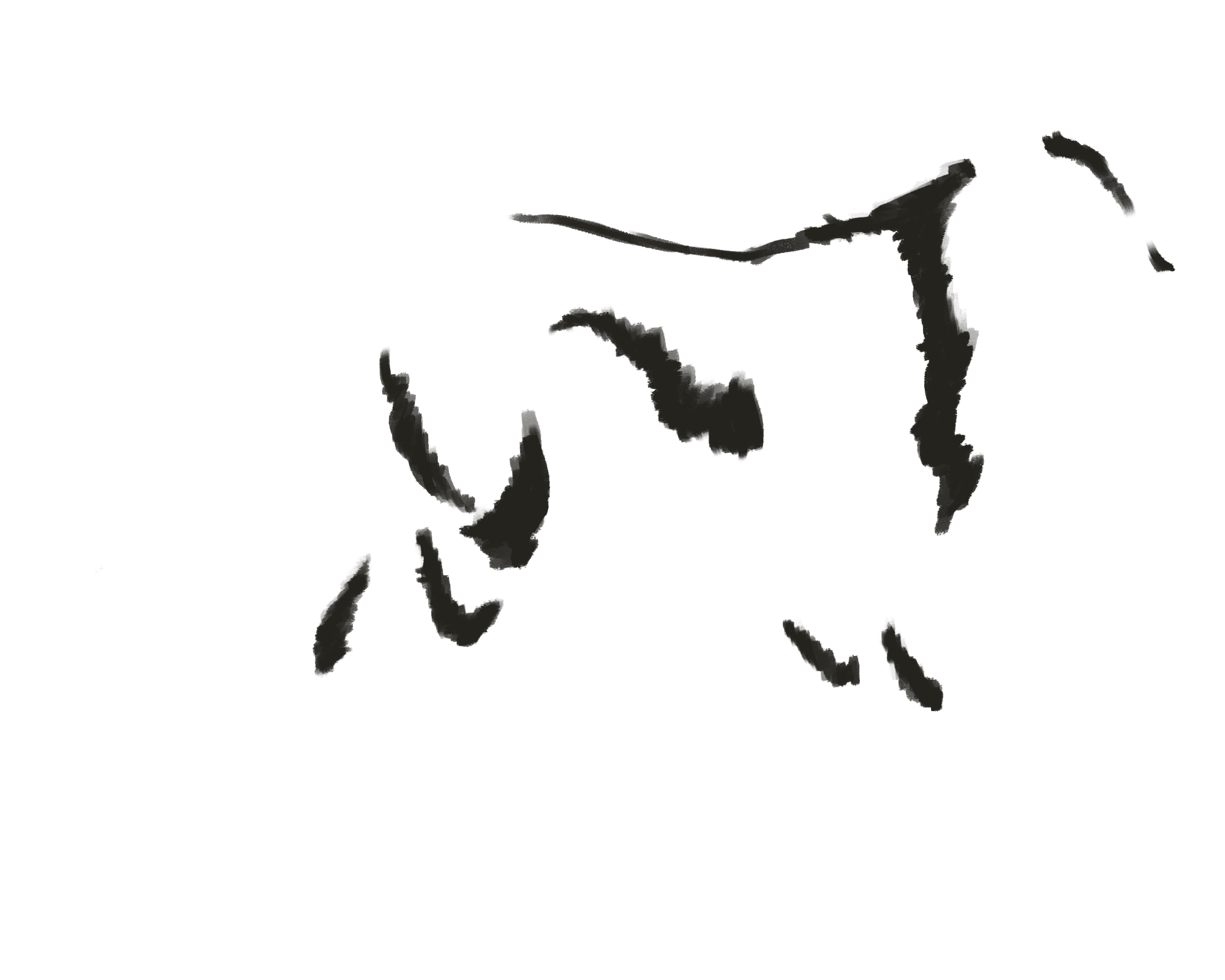 Wolf marks layer