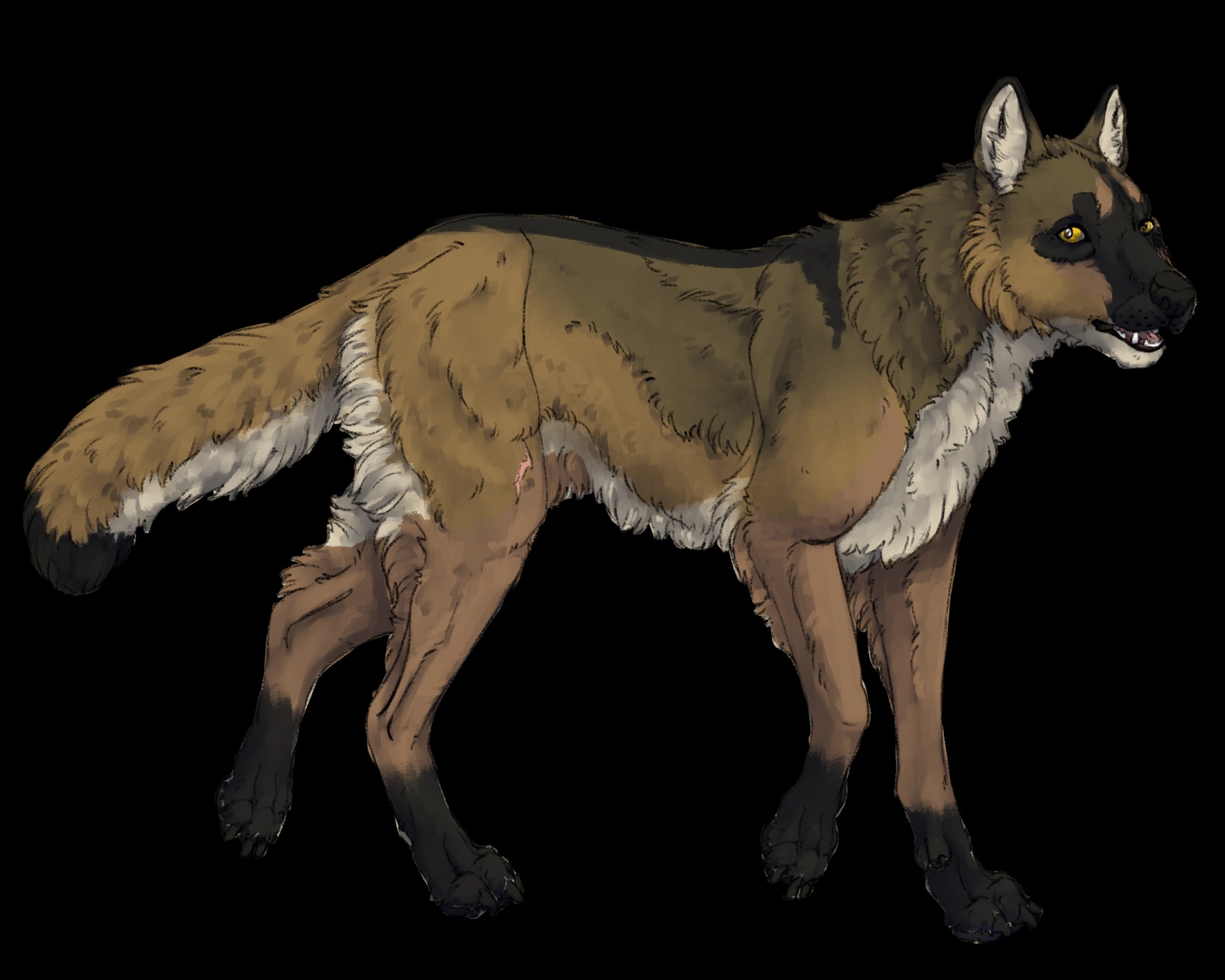Pustynny wilk z Feralnight