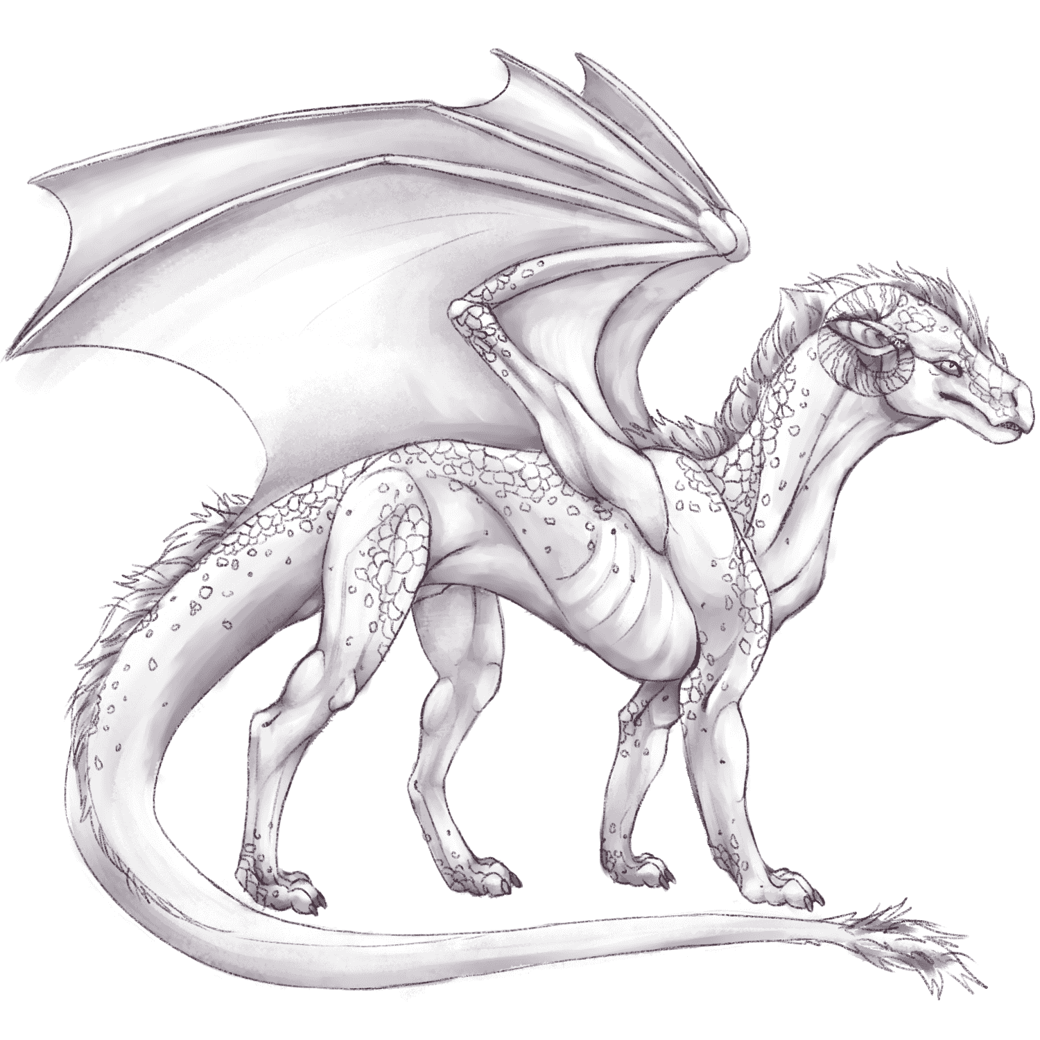 EarthDragon base layer
