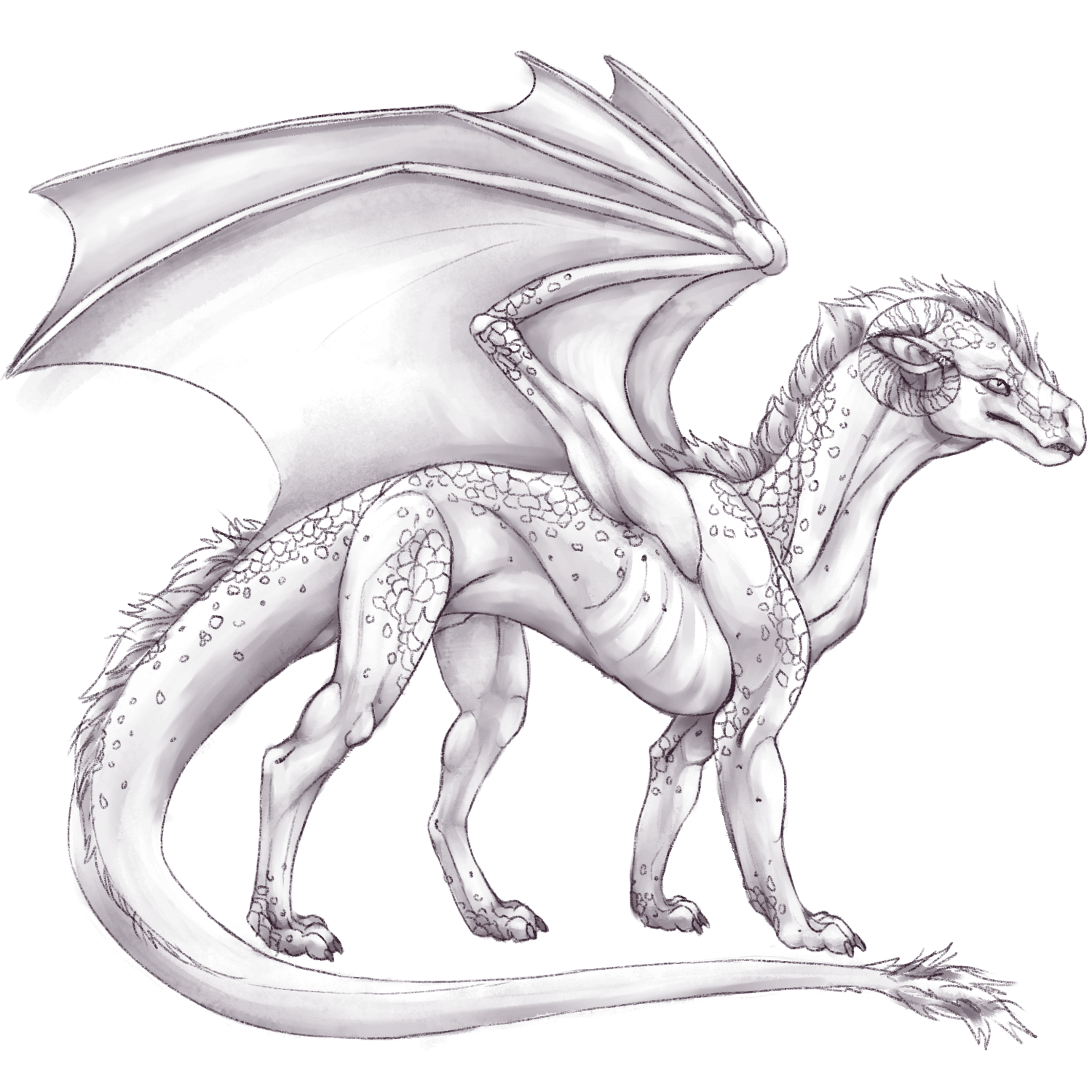 EarthDragon base layer