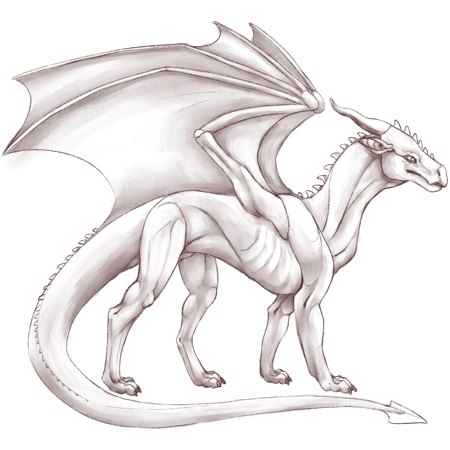 FireDragon base layer