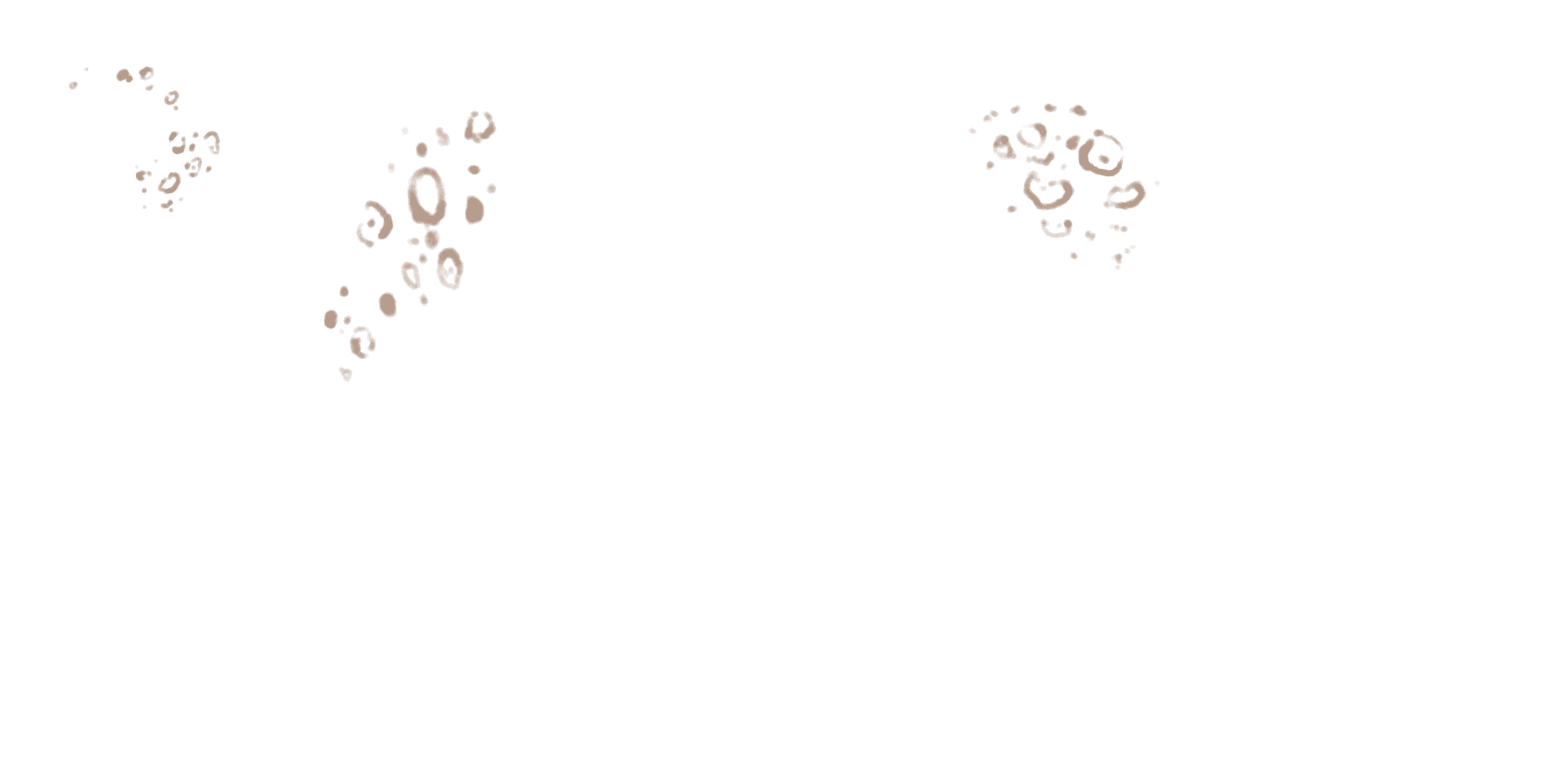 Lioness marks layer